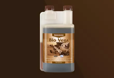 Bio Vega