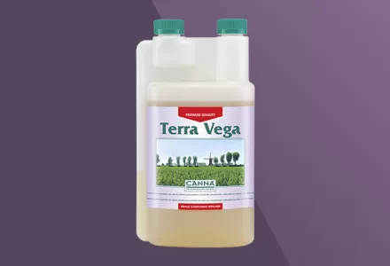 CANNA Terra Vega