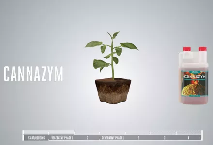 CANNAZYM