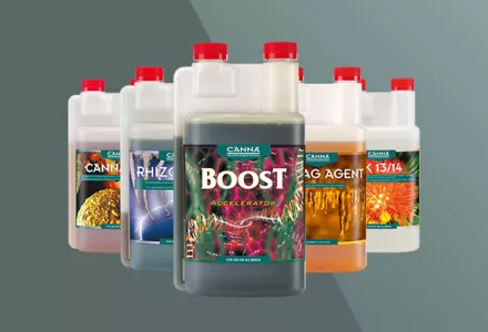 CANNA Additives