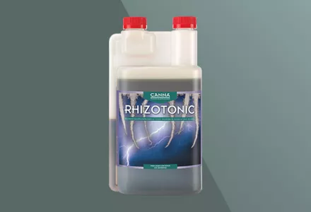 CANNA RHIZOTONIC