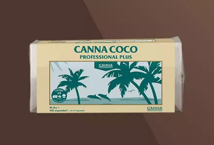 CANNA Coco Brick